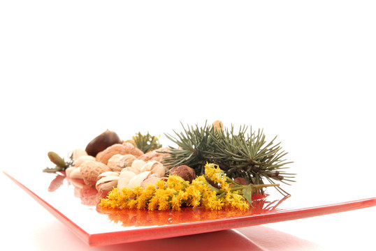 收獲季節(jié)；堅果