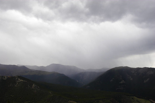山地雨林