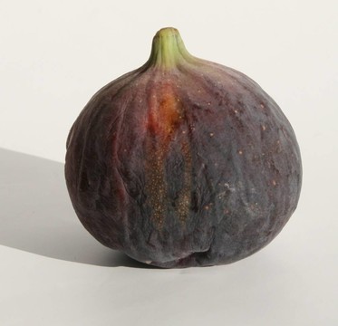圖
