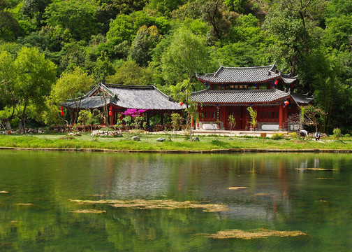 麗江的一個風景公園