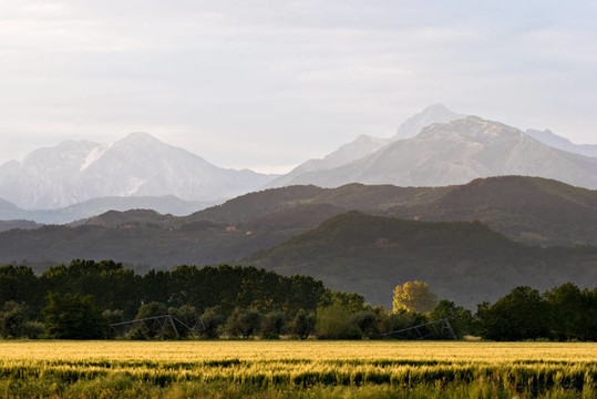 場(chǎng)和Mountains