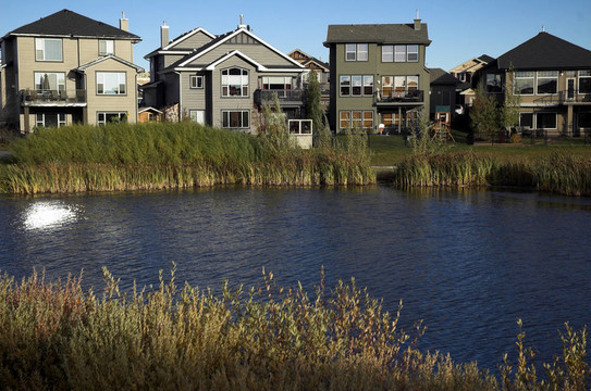 生態(tài)發(fā)展