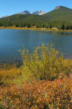 Lily Lake；多頭峰