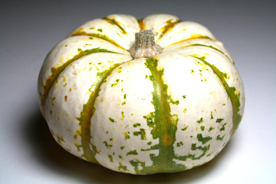 Gourd與疣