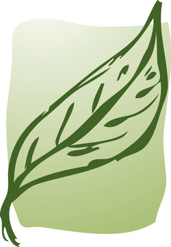 葉插圖