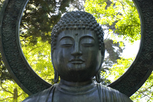 日本的茶屋