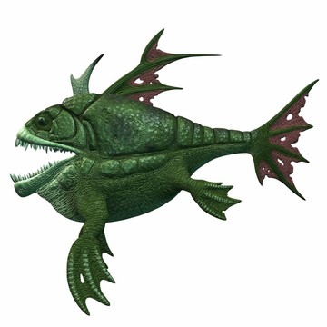 幻想armourfish