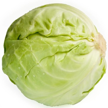 白菜頭