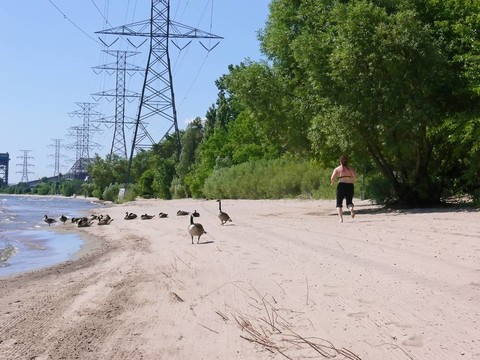 清晨7海灘