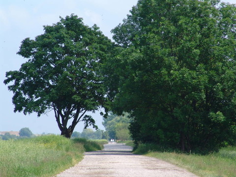 路008