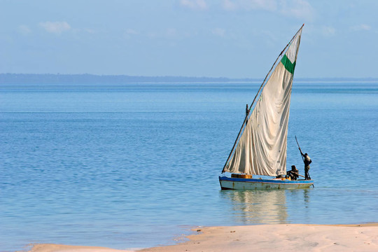 Mozambican周