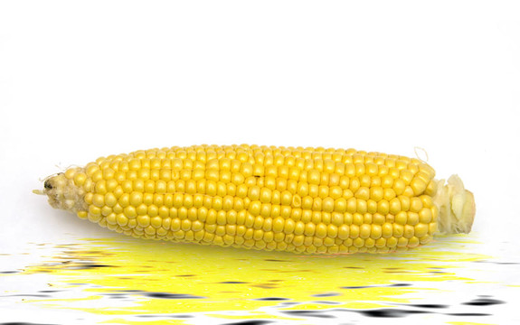 玉米