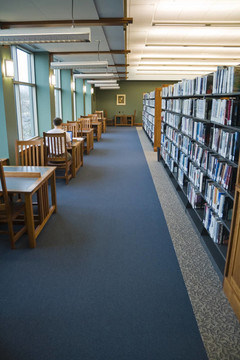 在圖書館工作