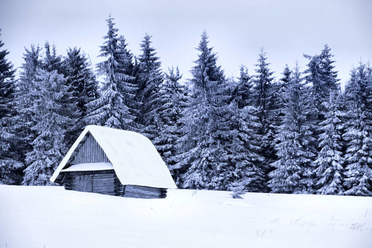 雪覆蓋的小屋