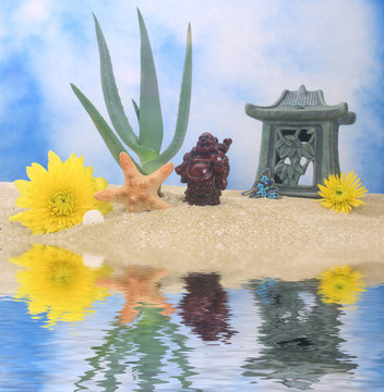 仍然生活在海灘上