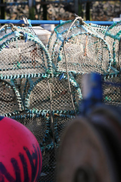 去釣魚(yú)