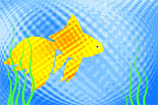 金魚缸