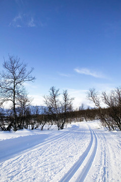 越野滑雪道