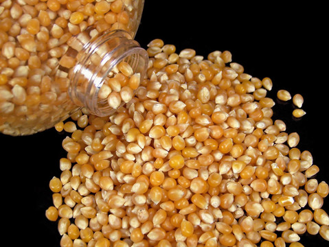 溢Popcorn Kernels