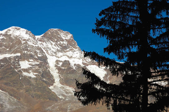 山