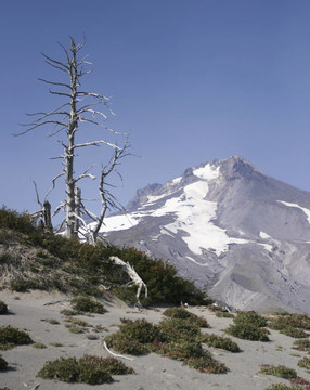 阿爾卑斯山的高山觀