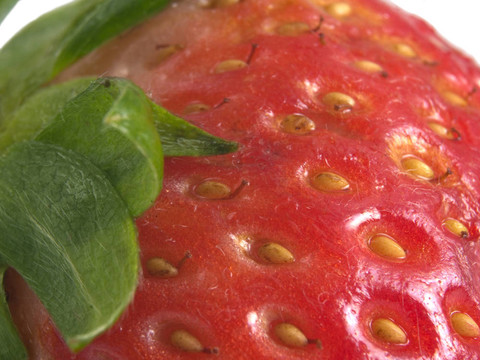 strawberrry干