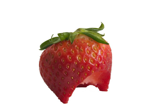 新鮮的strawberrry