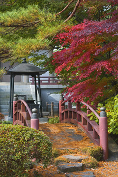 日本橋