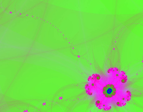 紫羅蘭花