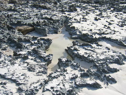 對一灣海灘的細節(jié)；安齊拉納納和Diego Suarez；馬達加斯加；Panoramique