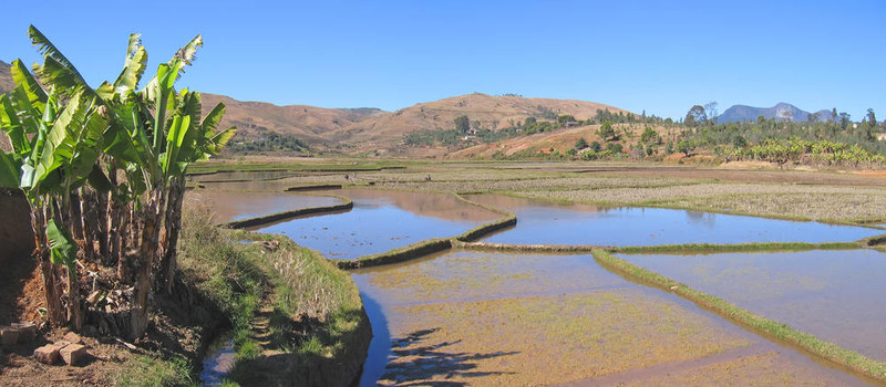 山谷中的梯田文化；Andringitra公園；馬達(dá)加斯加；Panoramique