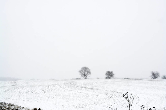 農(nóng)場上的雪
