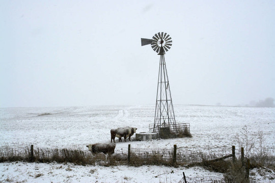 農(nóng)場上的雪