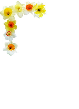 水仙花角布置