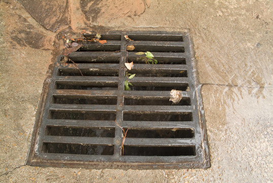 雨漏