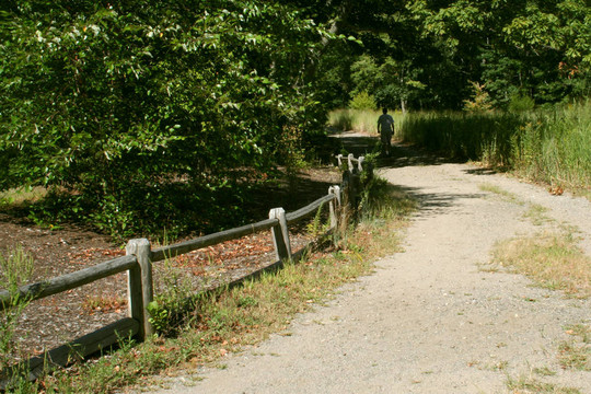 鄉(xiāng)村路