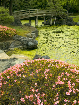 日本花園