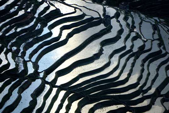 元陽(yáng)哈尼梯田