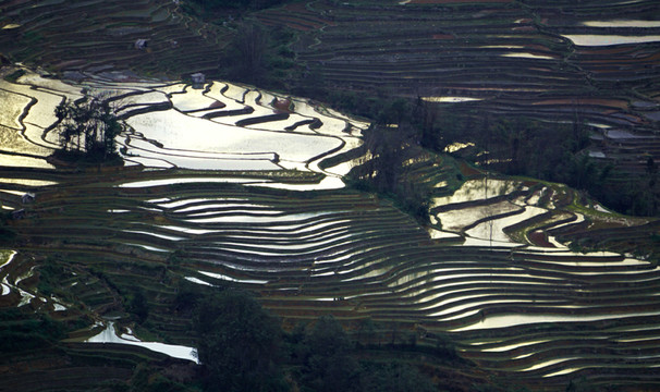 元陽(yáng)哈尼梯田