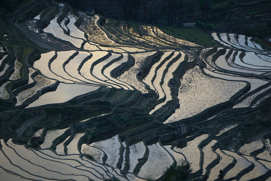 元陽(yáng)哈尼梯田