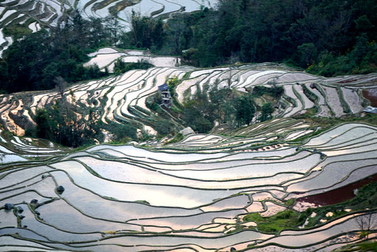元陽哈尼梯田