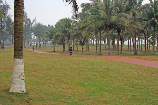 戶外 公路