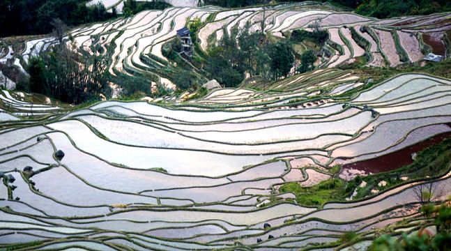 元陽(yáng)哈尼梯田