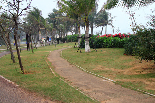 公園走道