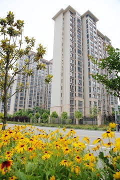 樓房小區(qū)環(huán)境