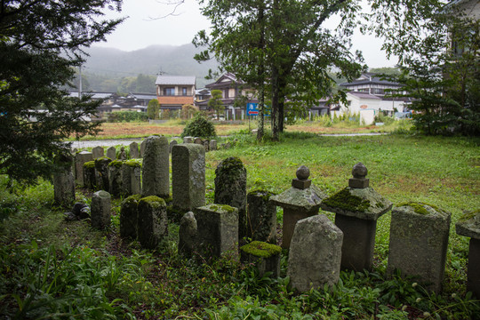 忍野八海