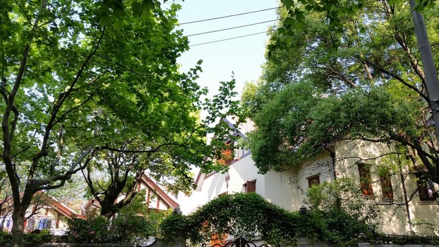 武康路街景