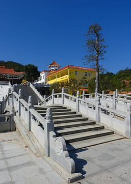 石橋 大垌山