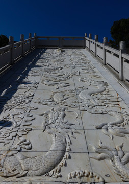 陽(yáng)西 大垌山