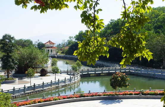 大垌山 陽(yáng)西